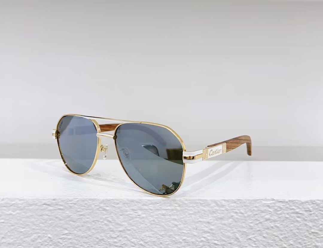 Ca*t1er Sunglasses