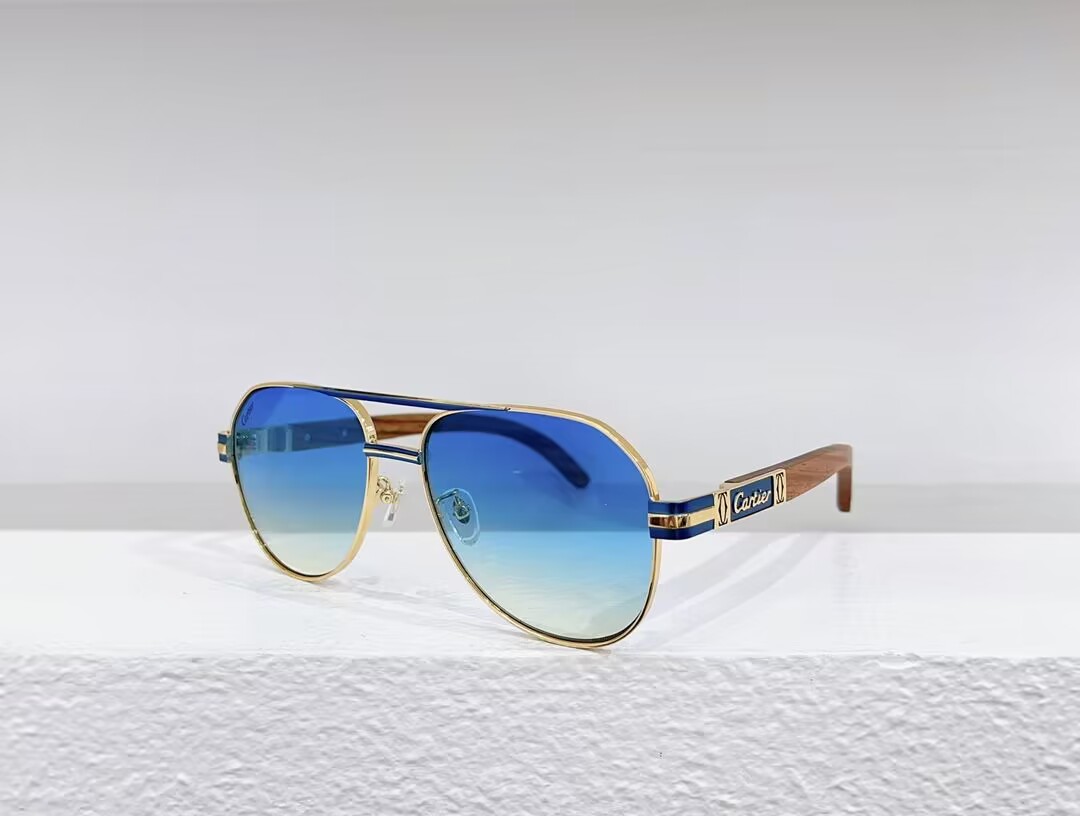 Ca*t1er Sunglasses